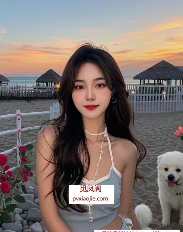 上海高端海选4T