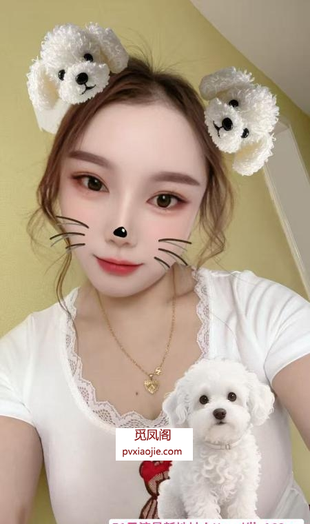 情趣如意小少妇